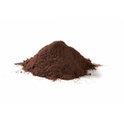 Alkalizowany proszek kakaowy 10/12% GT-78 worek 25 kg